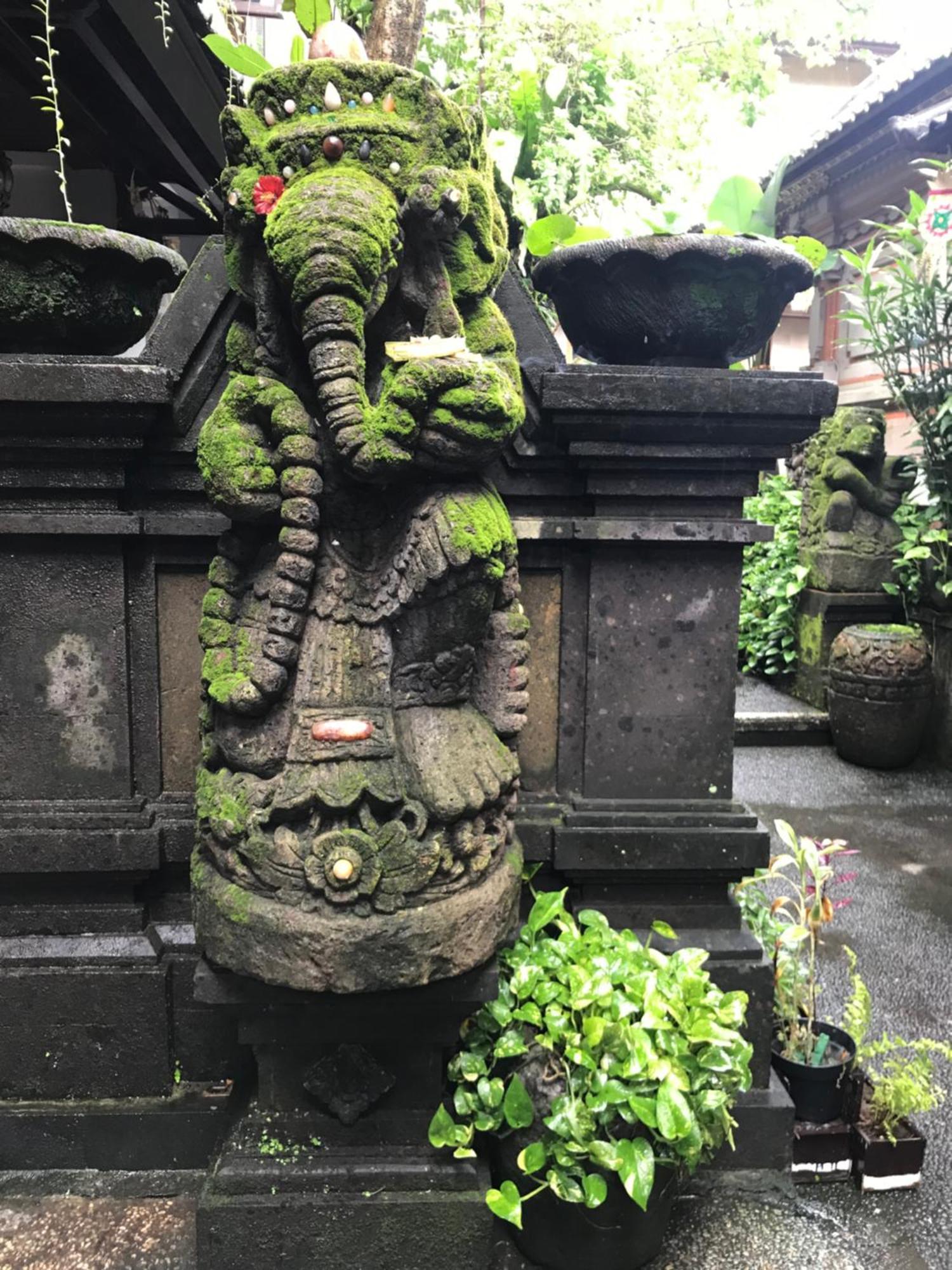 Pangkung House Apartment Ubud Exterior foto